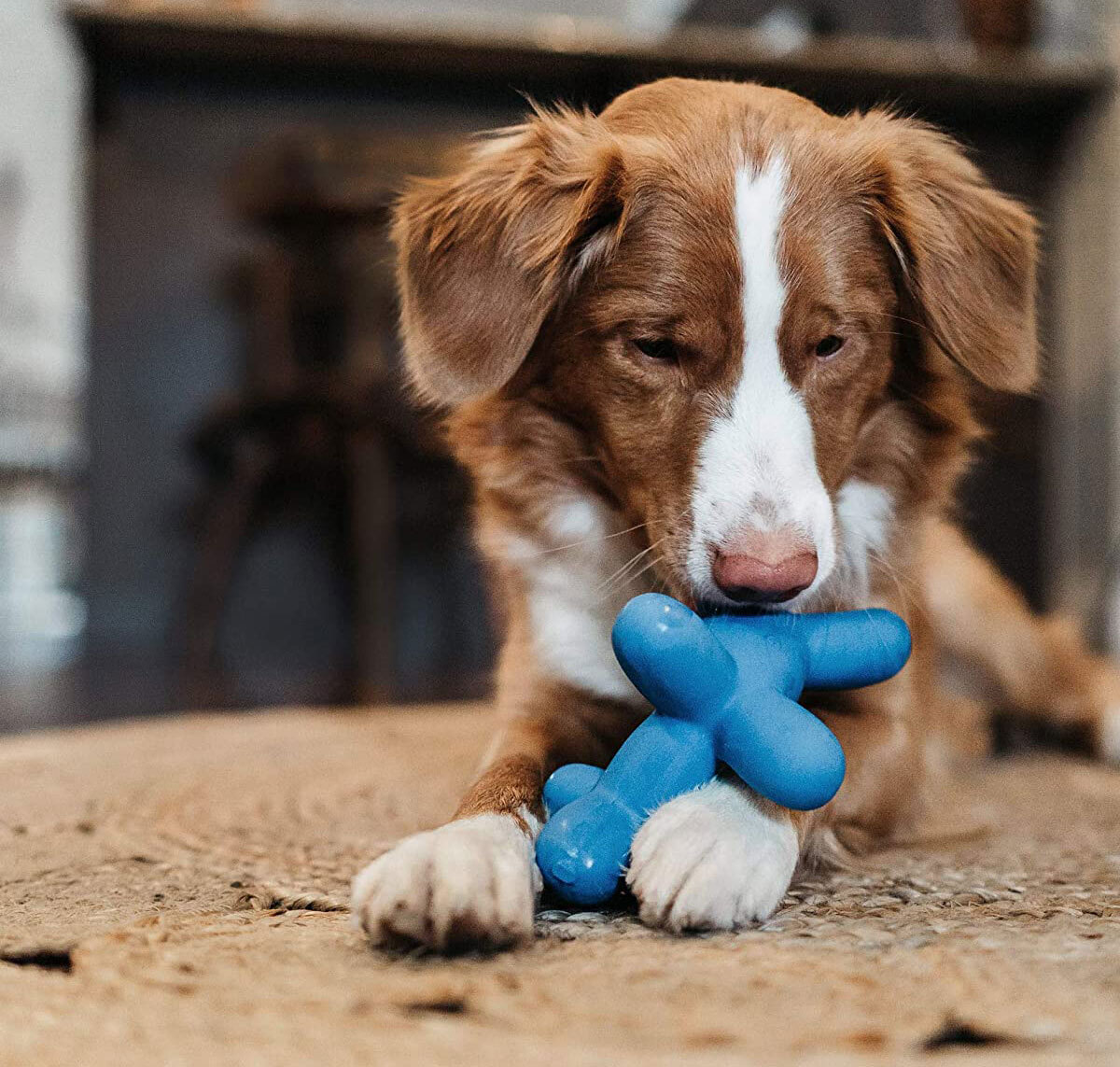 Outward Hound Latex Balloon Dog Toy From Charming Pet Dog Large