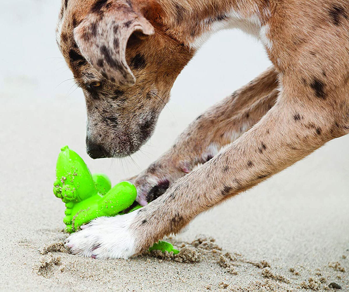 Outward Hound Latex Balloon Dog Toy From Charming Pet Gator Large