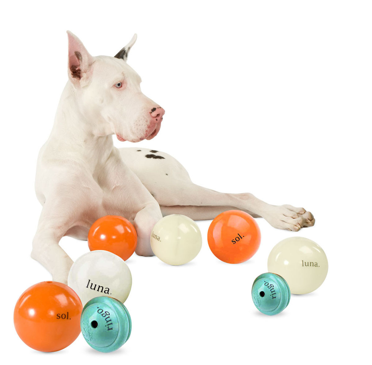 Dog Orbee Tuff Cosmos Ball Ringo Green Dog Toy