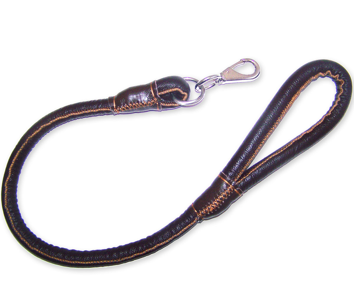 100 Leather Leash For STRONG Dogs Unbranded