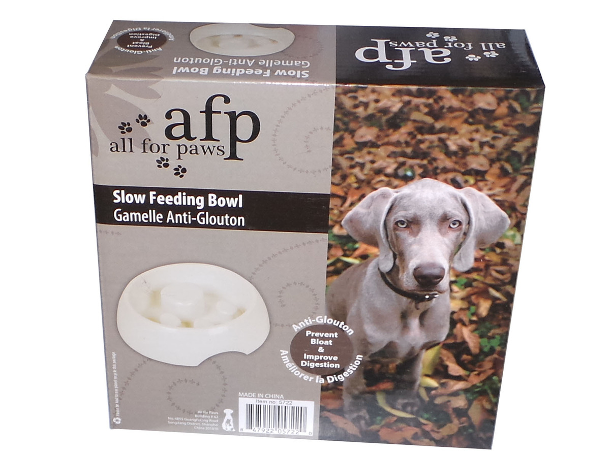 All For Paws Slow Feeder Bowl Large