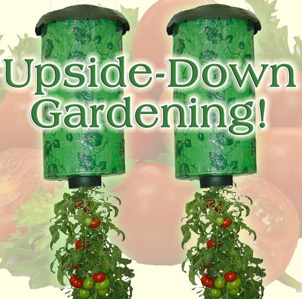 Upside Down Tomato Planter X 2 Unbranded