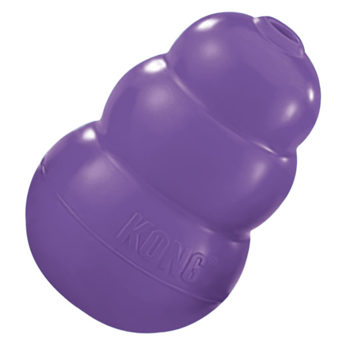 Kong Senior Rubber Dog Chew Toy Large Purple 35585111438 eBay