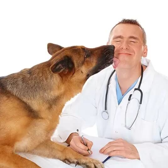 Support Pets Emotional Support Animal Specialists Official ESA