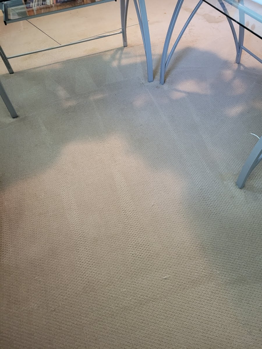 The Woodlands Carpet Cleaning Supreme Clean ChemDry