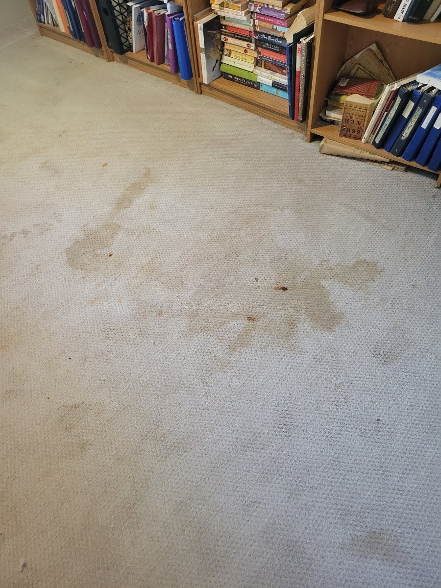 The Woodlands Carpet Cleaning Supreme Clean ChemDry