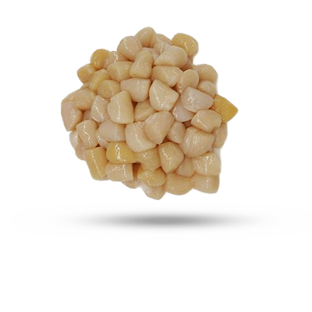 Nantucket Bay Scallop Supreme Lobster