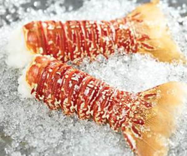 South African Supreme Lobster