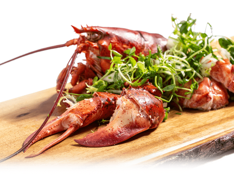 Supreme Lobster We go to great depths for you!