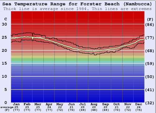 Forster Beach (Nambucca) Water Temperature (Sea) and Wetsuit Guide (NSW