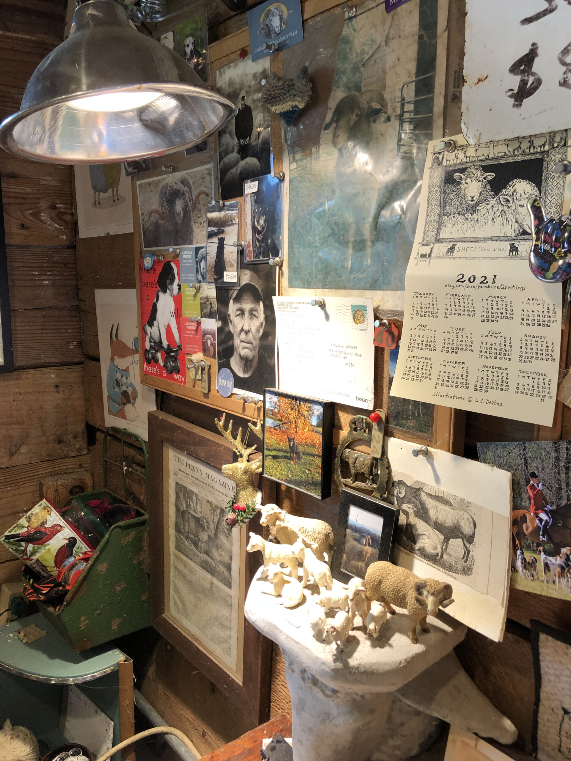 SDA Book Club “Vanishing Fleece” reviewed by Vivien Zepf Surface