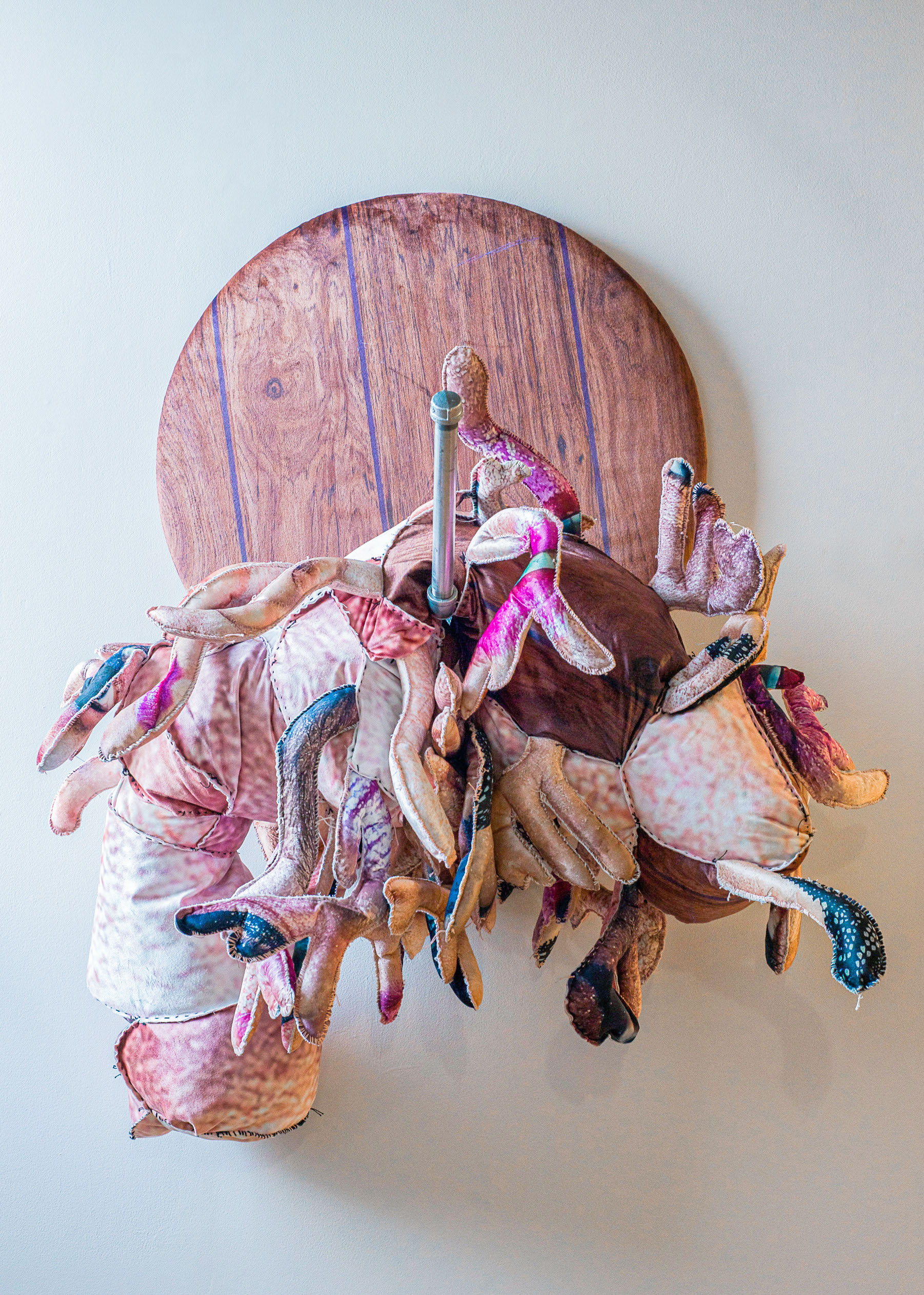 Nice Rack Surface Design Association Surface Design Association