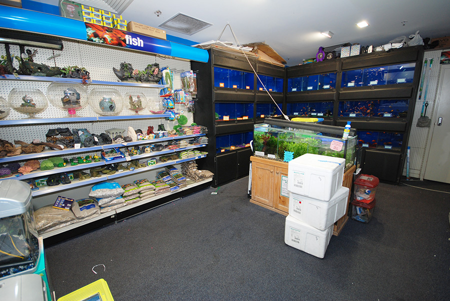 Pets Paradise Surface Interiors