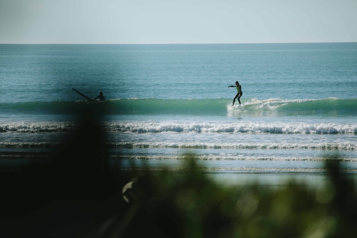single fin mingle