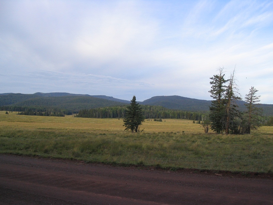 Baldy Peak (White Mountains)