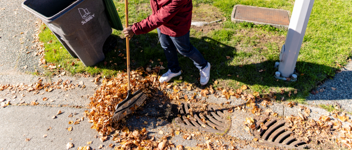Keeping Your Storm Drains Clear This Season City of Surrey
