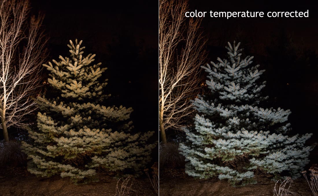 Best Outdoor Lighting System McLean and Northern Virginia