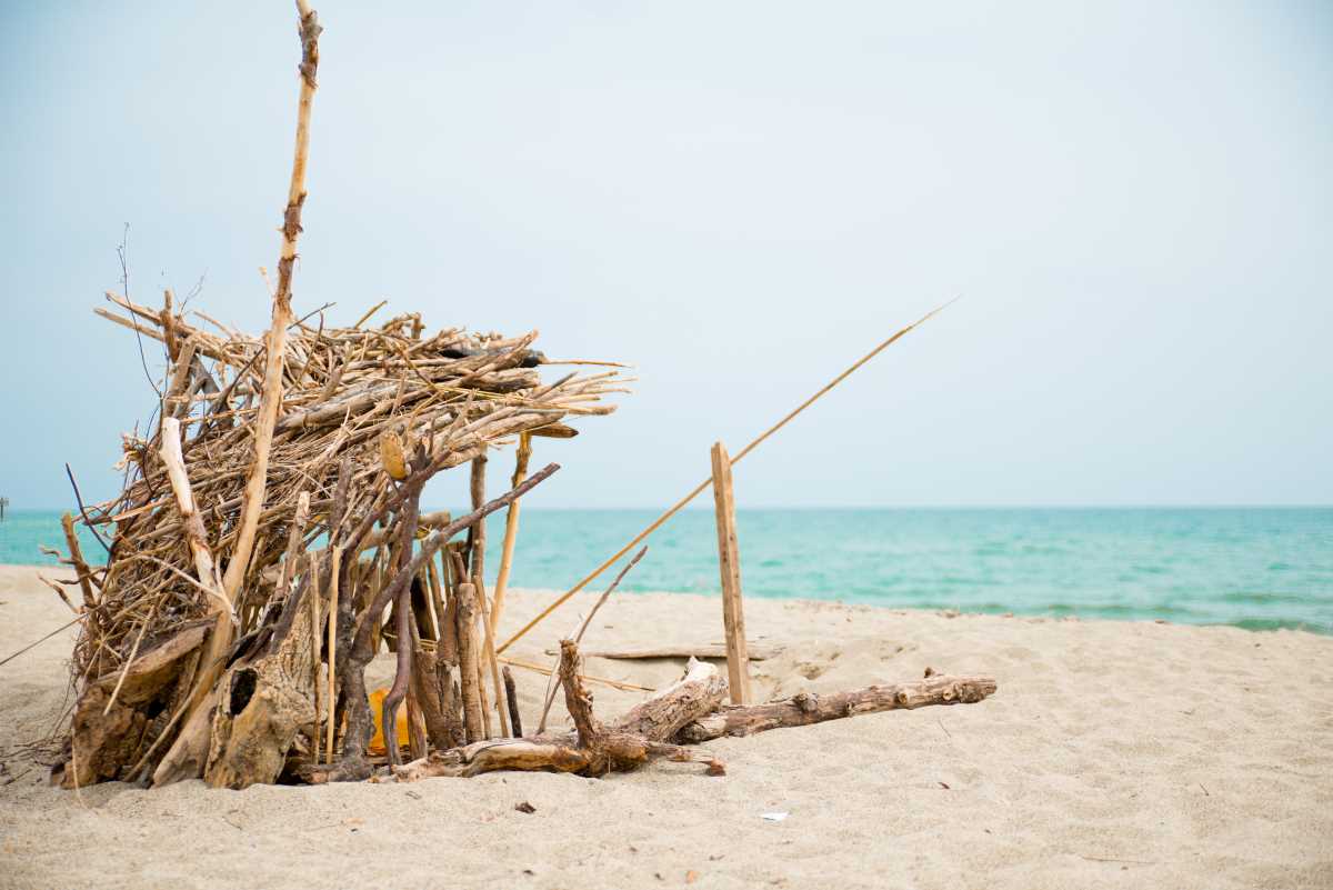 Island Survival 11 Essential Steps for Surviving on a Deserted Island