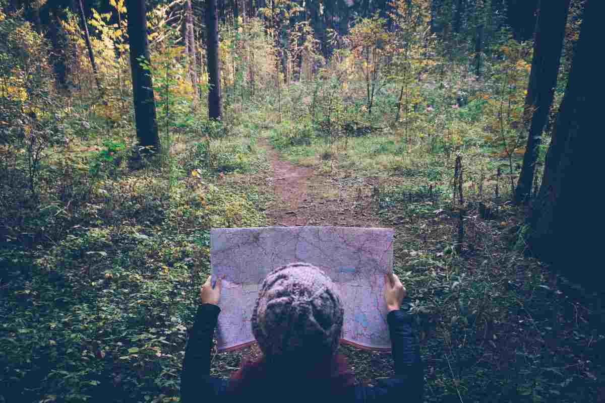 Navigating Without Tools How to Tell Directions Without a Compass