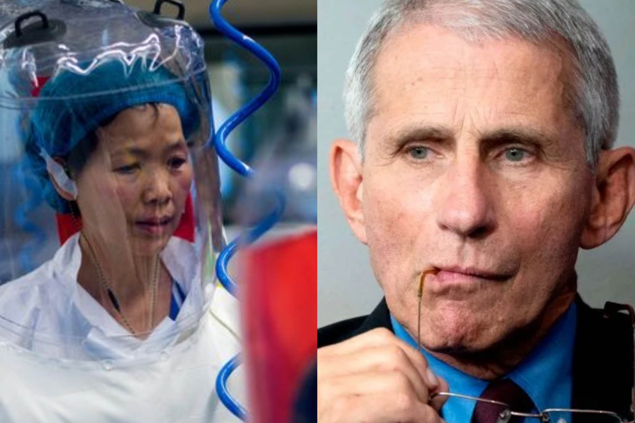 Revealed Dr. Fauci Previously Argued For Risky Viral Experiments(027)