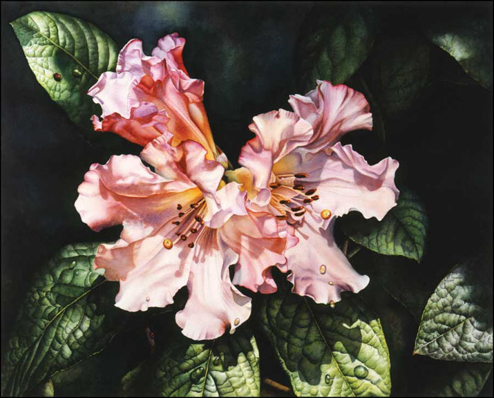 Best paper for watercolor painting Oh She Creates
