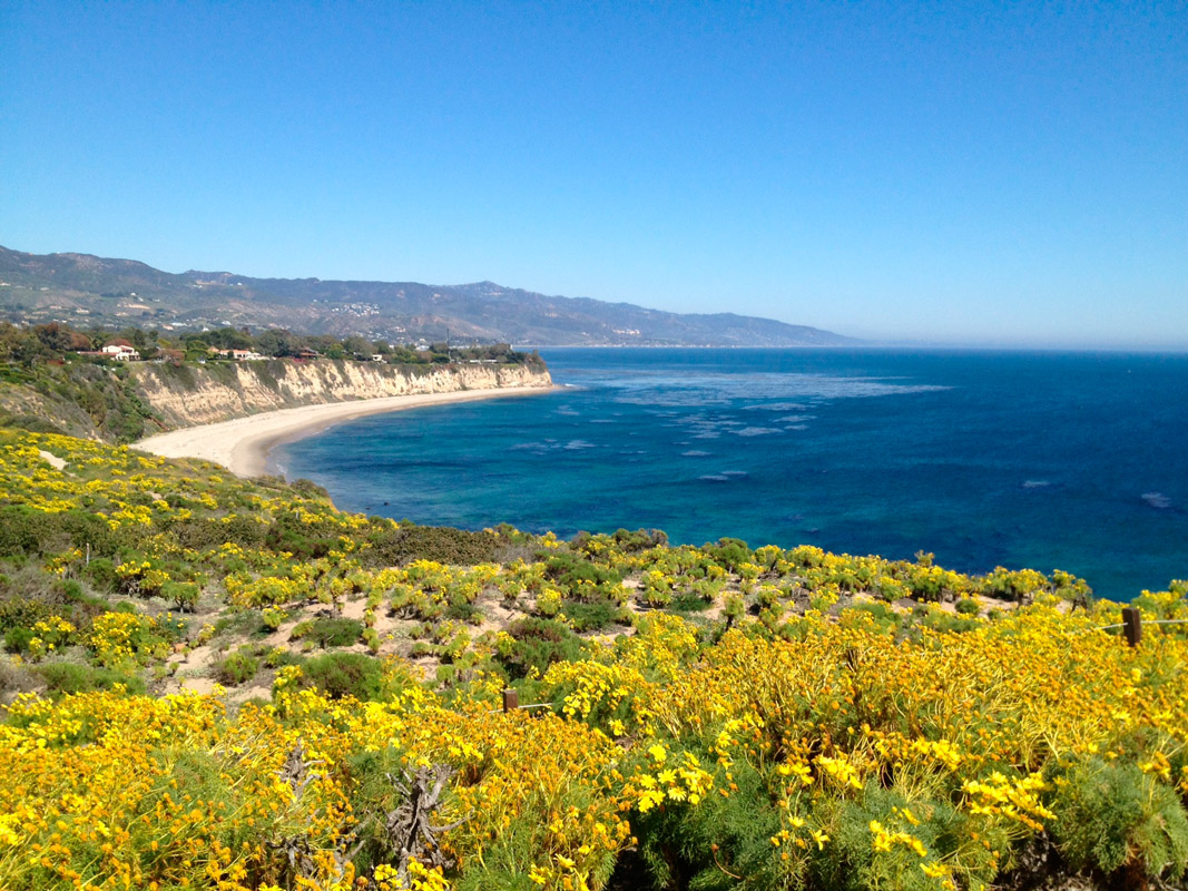 Malibu Real Estate, Malibu Beach Homes and Estates Susan Monus