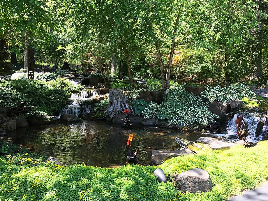 July 23 Column Coeur d'Alene Garden Tour Susan's in the Garden