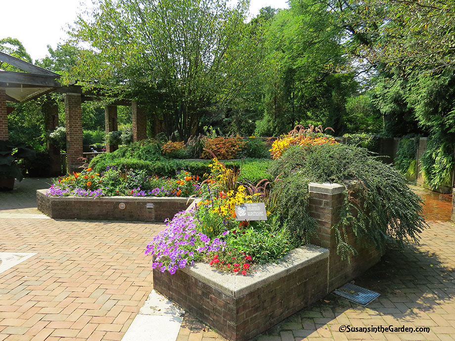 August 26 Column The Enabling Garden Susan's in the Garden