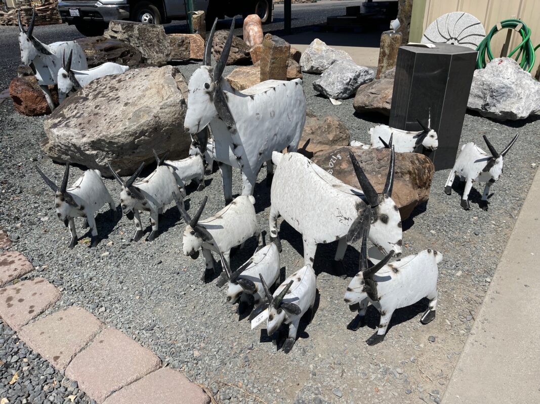 Goats Sutherland Landscape Supplies Chico CA