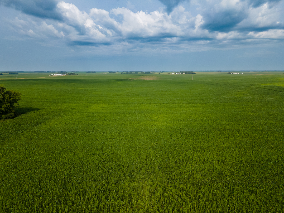 Rave Blinsmon Twp, Moody Co., SD Land Auction Sutton Auction