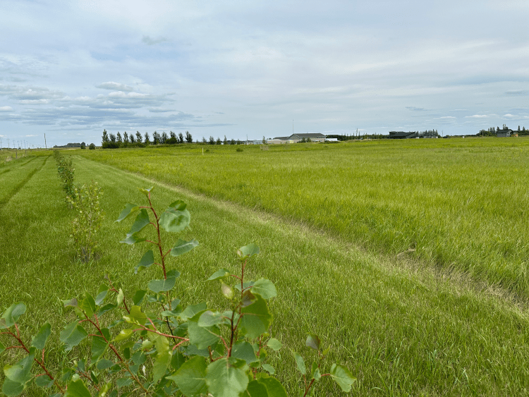 Sutton Harrison Real Estate Brandon Manitoba Homes Condos