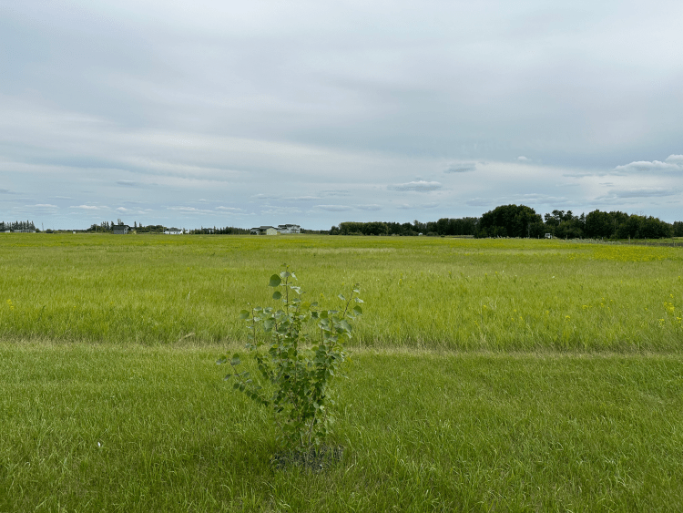 Sutton Harrison Real Estate Brandon Manitoba Homes Condos