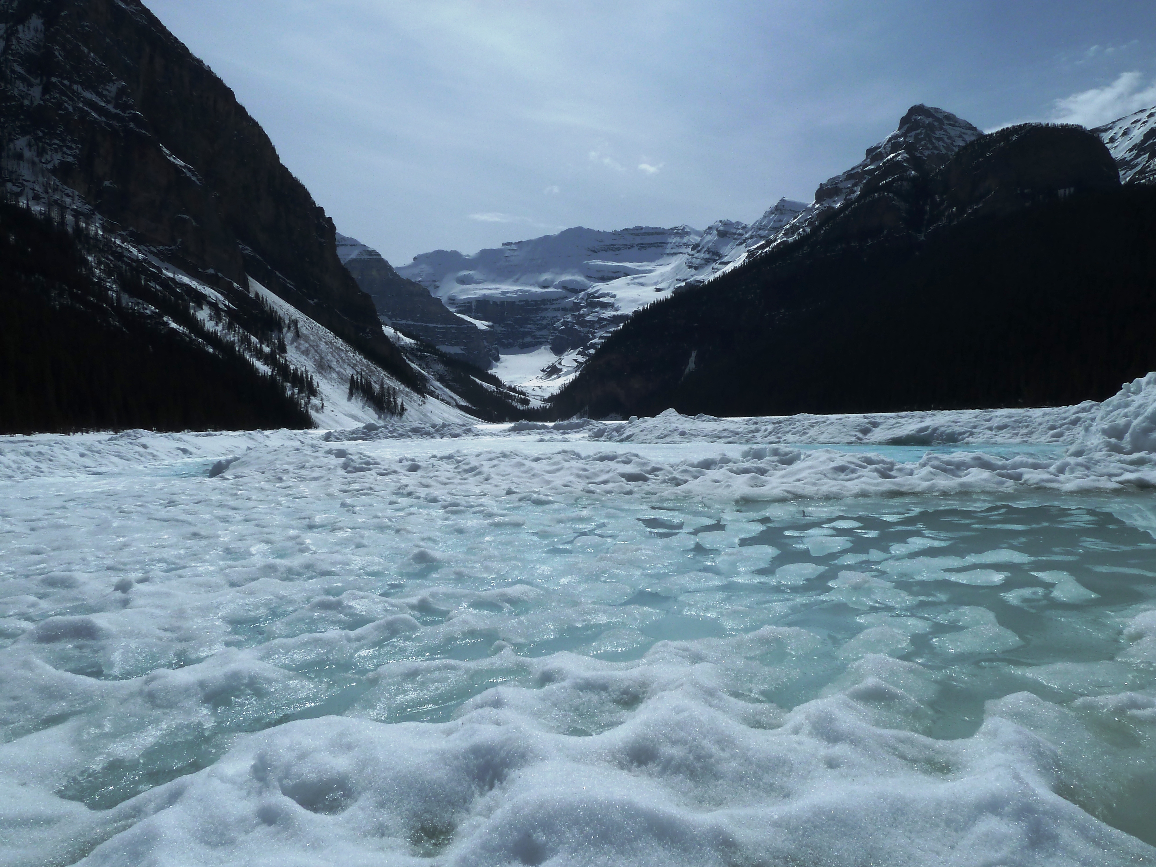 Macroscale Suzanne Kresta