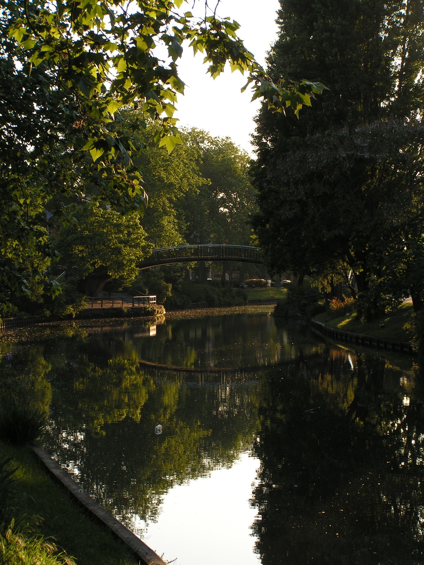 Macroscale Suzanne Kresta