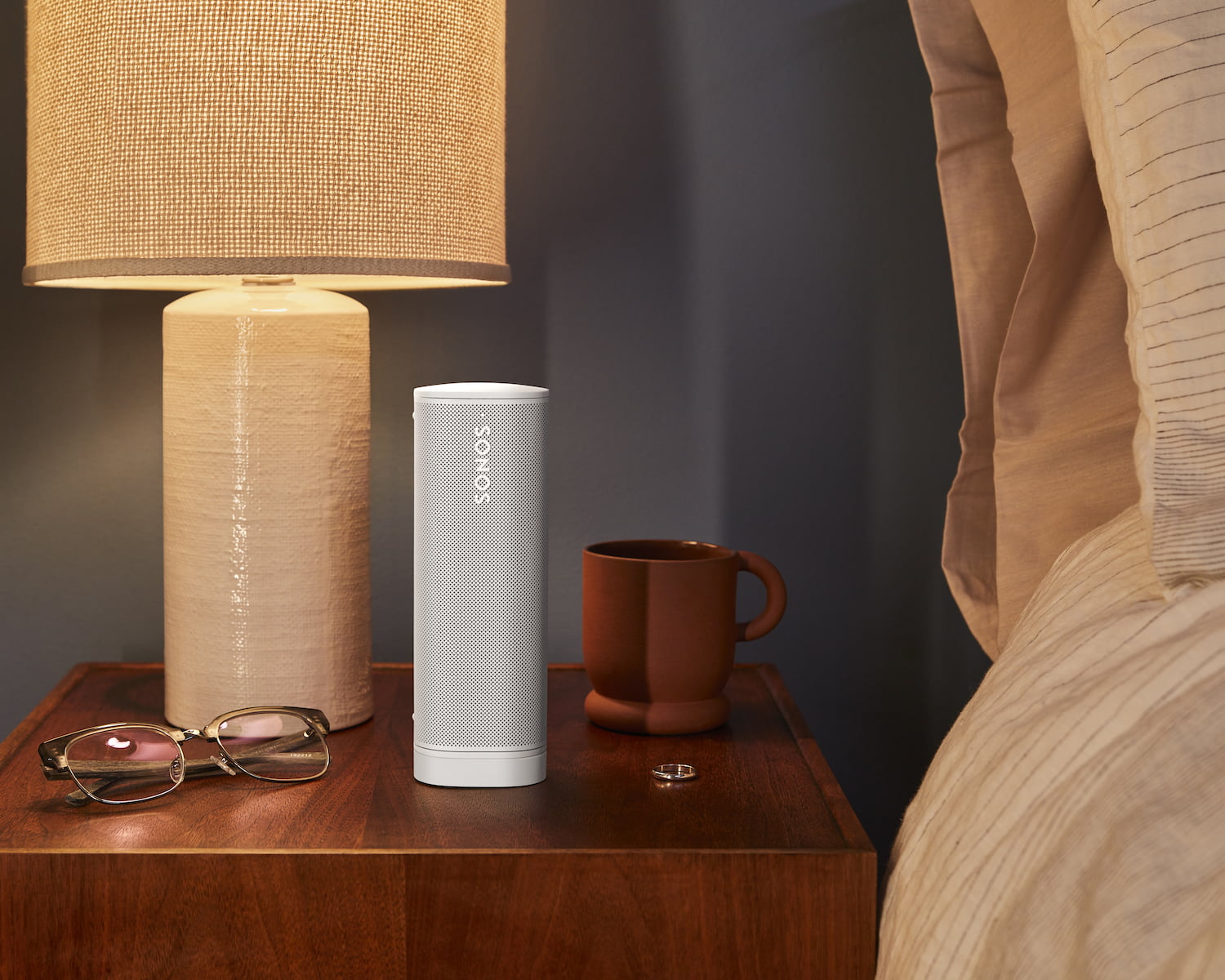 How-To: Sonos Roam Setup – SoundVision