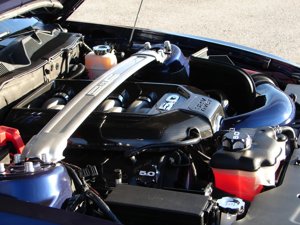 ~ Engine bay Photo Thread | SVTPerformance.com