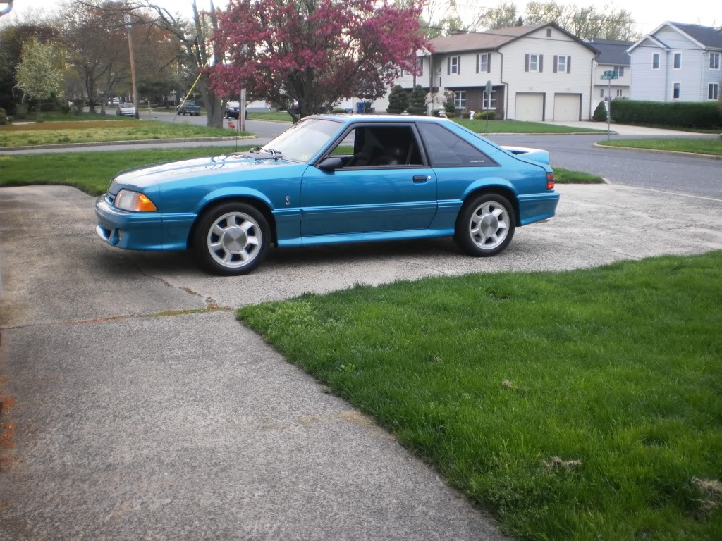 93 cobra teal/blk