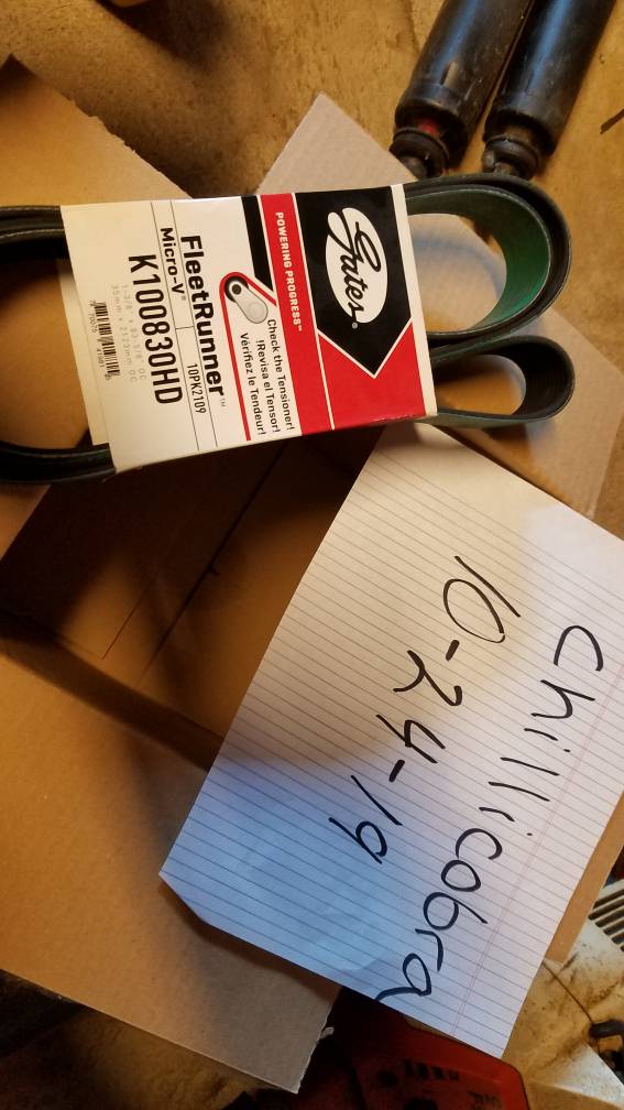 NEW 83" GATES GREEN BELT