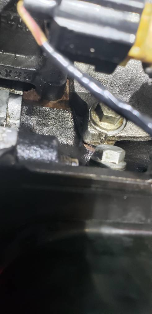 Timing cover leak | SVTPerformance.com
