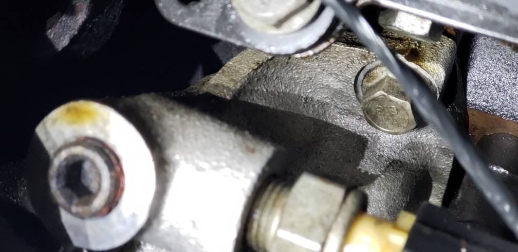 Timing cover leak | SVTPerformance.com