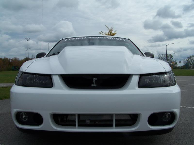 Lets See Those 9904 Mustang Cowl Hoods Page 4