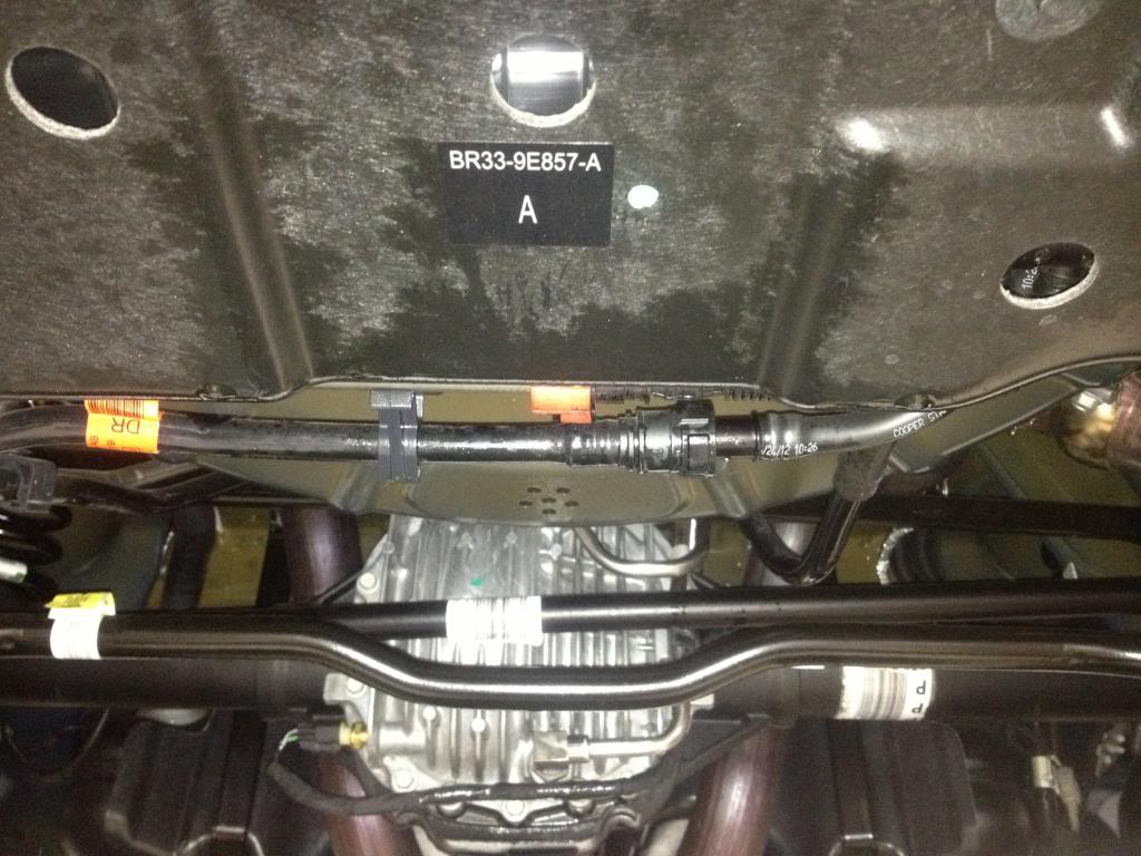 Rear Diff leak...this may help someone out.... | SVTPerformance.com