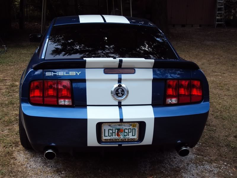 *Shelby GT500 Vanity Plate Ideas?*