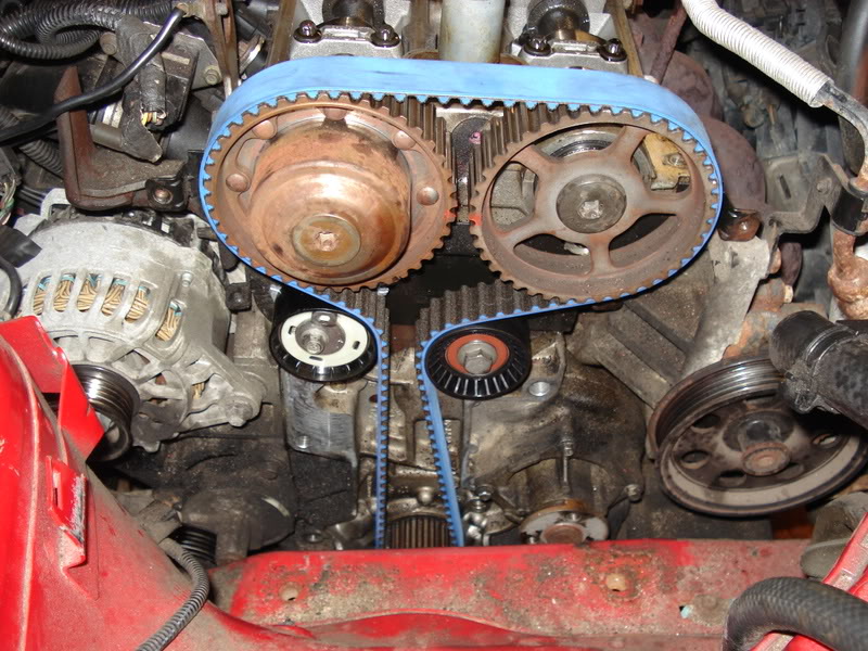 Timing belt question