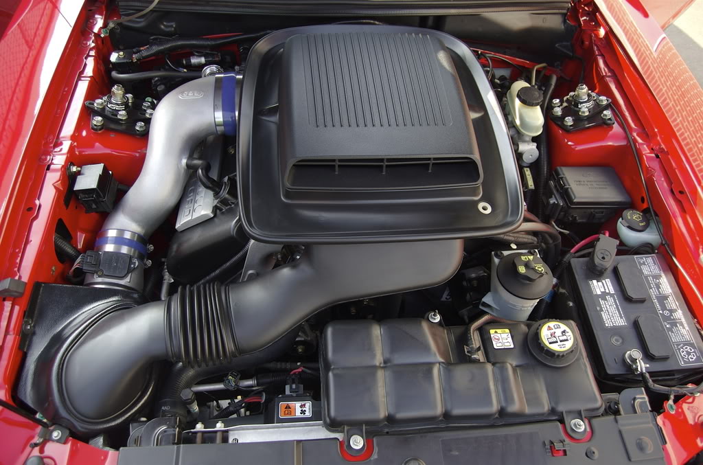 Post your favorite 03/04 mach 1 pics!!!! | Page 3 | SVTPerformance.com