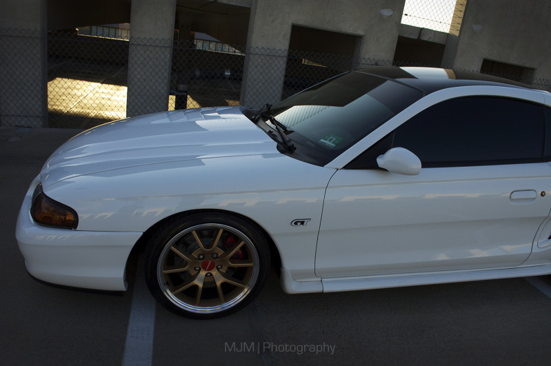 JB's 03 Mach 1 Build Thread | SVTPerformance.com