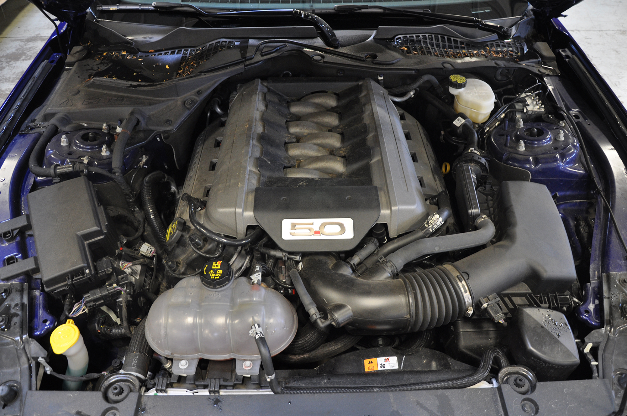 Livernois Motorsports 2015 GT Supercharger Build | SVTPerformance.com