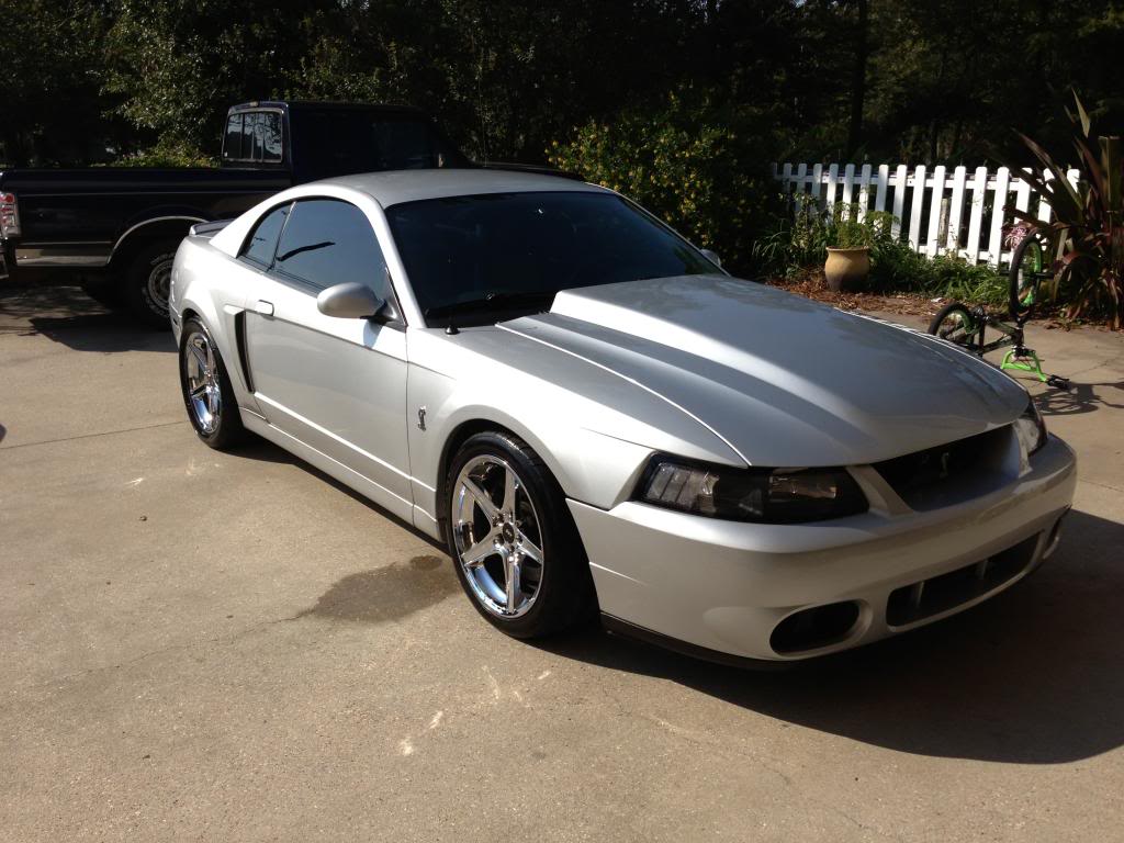 New Wheels! New Look. 04 cobra Page 2