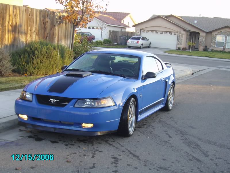 Official 03/04 Mach 1 Pics Thread | SVTPerformance.com