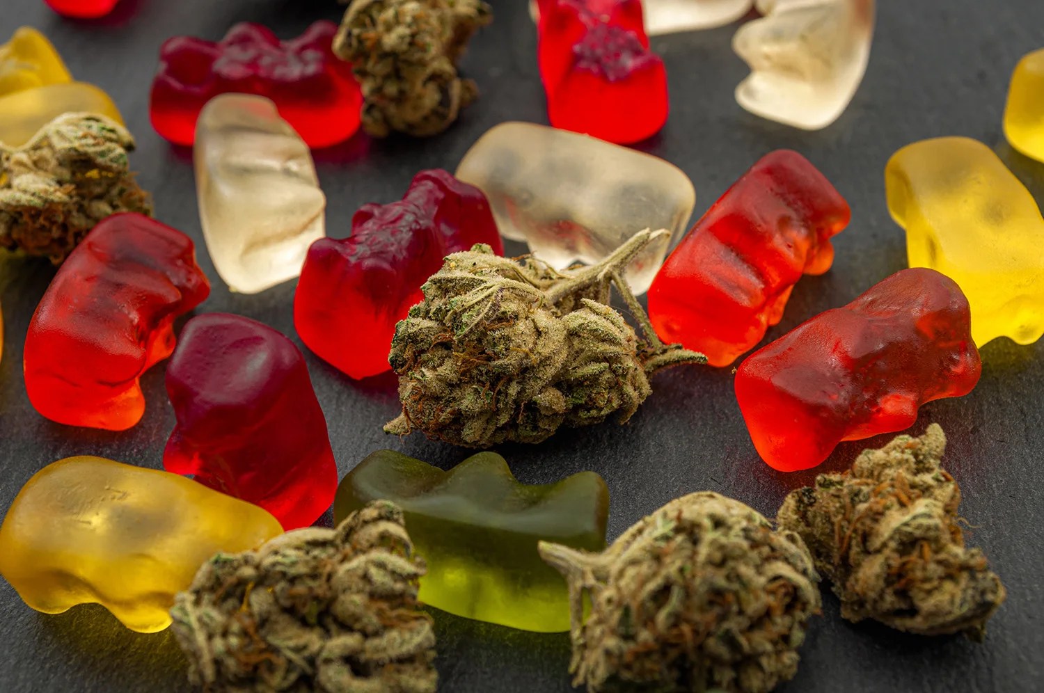 Best CBD Edibles Everything You Should Know SWAGGER Magazine